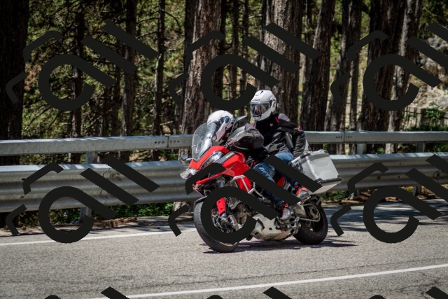 202506291227-DSC_3314_c2