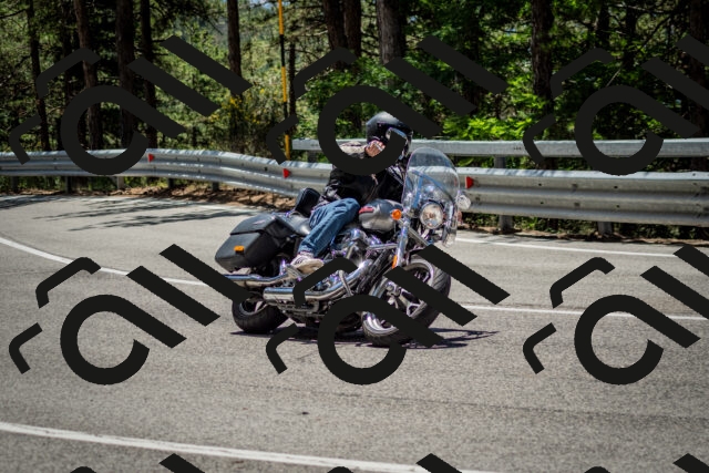 202506291228-DSC_3319_c2