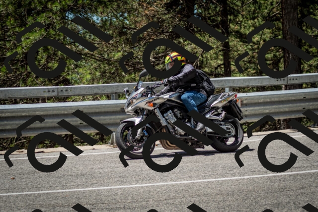 202506291229-DSC_3321_c2