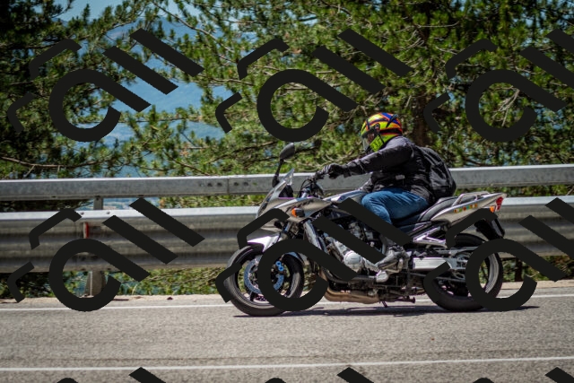 202506291229-DSC_3322_c2