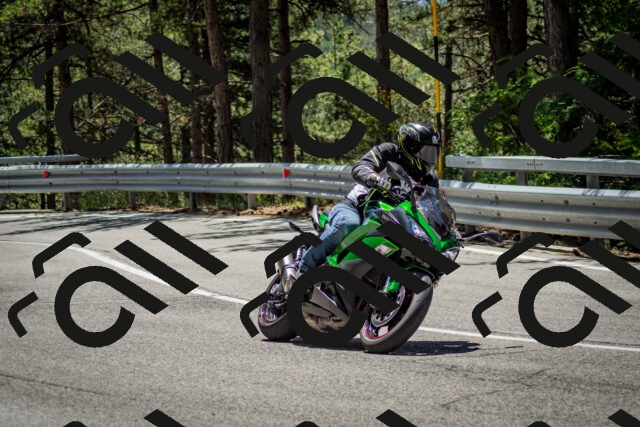 202506291229-DSC_3323_c2