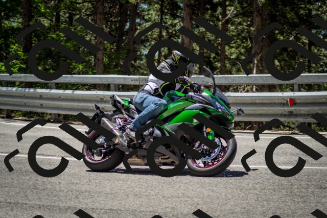 202506291229-DSC_3324_c2