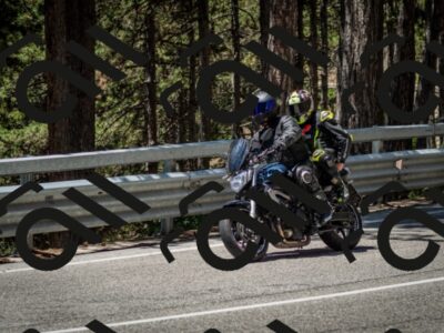 202506291229-DSC_3328_c2