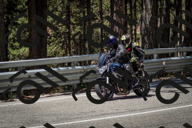 202506291229-DSC_3328_c2