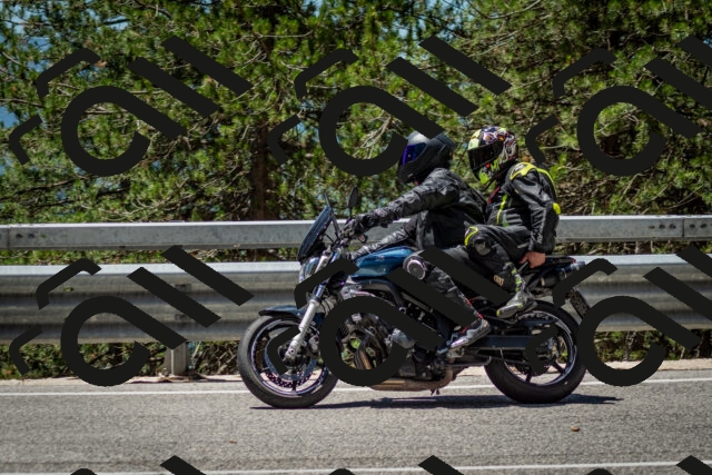 202506291229-DSC_3329_c2