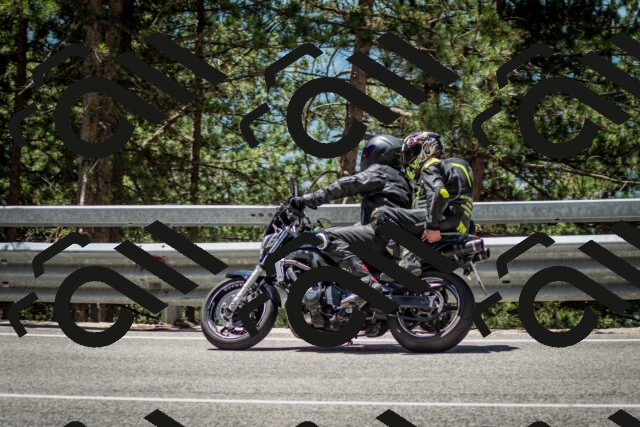 202506291229-DSC_3330_c2