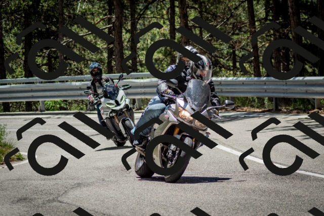 202506291229-DSC_3331_c2