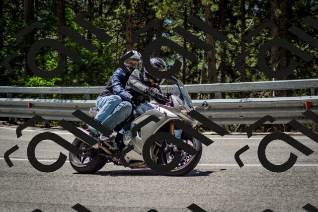 202506291229-DSC_3332_c2