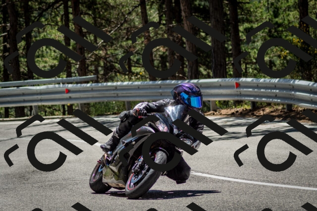 202506291230-DSC_3337_c2