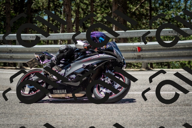 202506291230-DSC_3338_c2