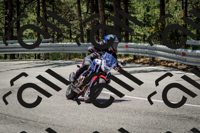 202506291230-DSC_3339_c2