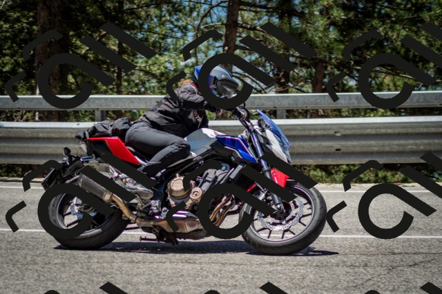 202506291230-DSC_3340_c2