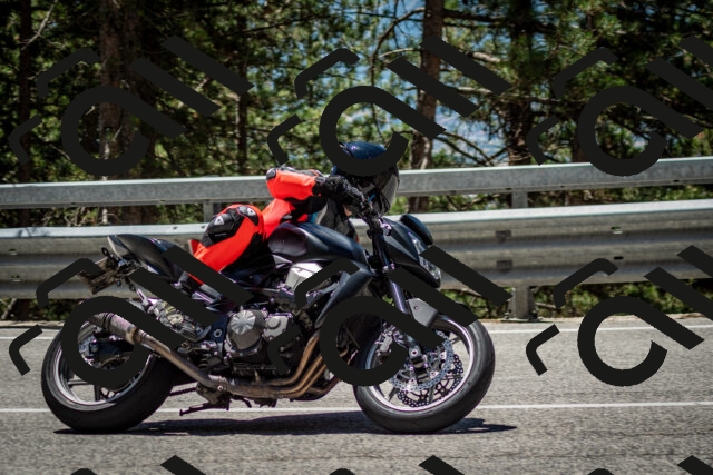 202506291230-DSC_3341_c2