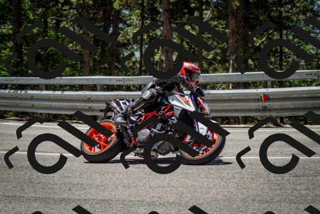 202506291230-DSC_3342_c2