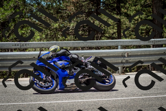 202506291230-DSC_3347_c2