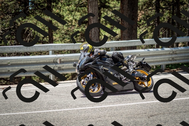 202506291230-DSC_3349_c2