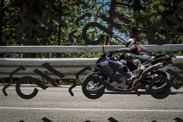 202506291230-DSC_3351_c2