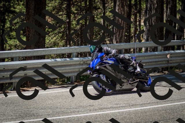 202506291230-DSC_3354_c2