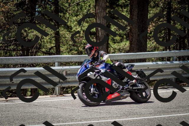 202506291231-DSC_3355_c2