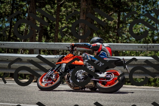 202506291232-DSC_3358_c2