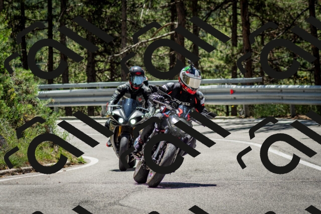 202506291233-DSC_3360_c2