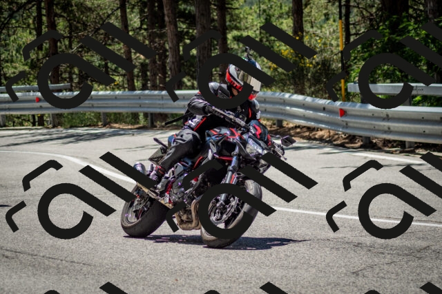 202506291233-DSC_3361_c2