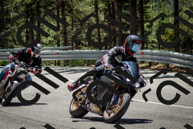 202506291233-DSC_3362_c2