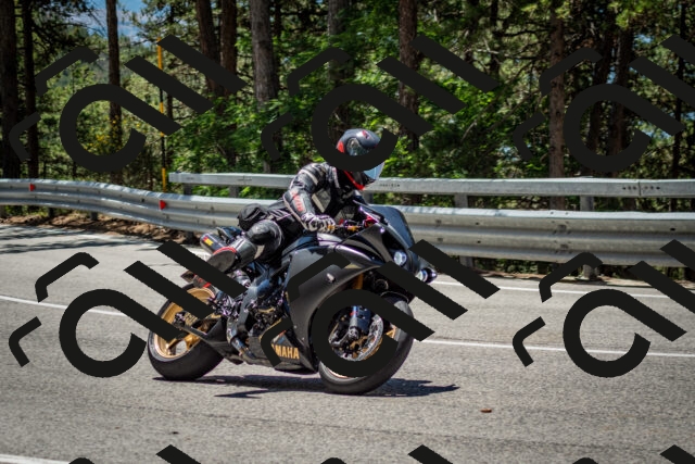 202506291233-DSC_3363_c2