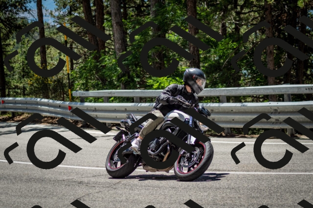 202506291233-DSC_3366_c2