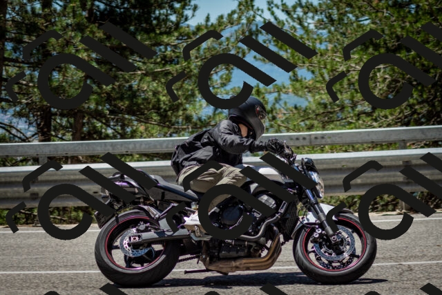 202506291233-DSC_3367_c2