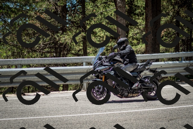 202506291233-DSC_3371_c2