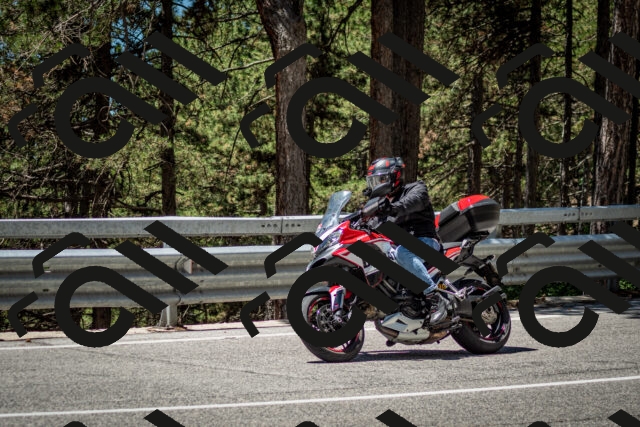 202506291233-DSC_3372_c2