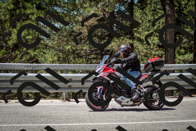 202506291233-DSC_3373_c2