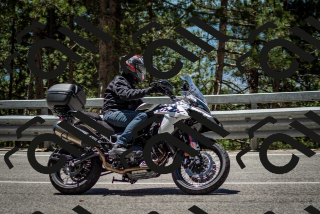 202506291233-DSC_3375_c2