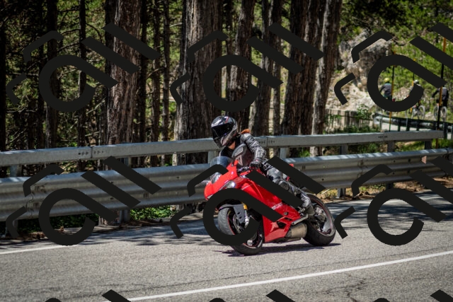 202506291234-DSC_3376_c2