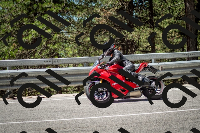 202506291234-DSC_3377_c2