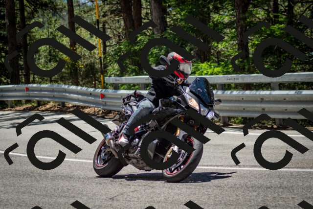 202506291236-DSC_3378_c2