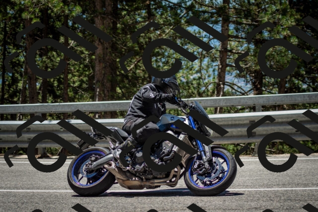 202506291236-DSC_3380_c2