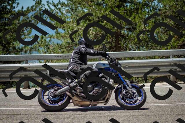 202506291236-DSC_3381_c2