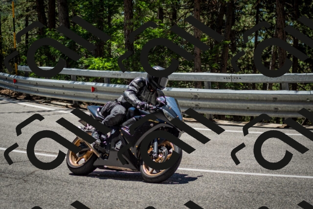 202506291236-DSC_3383_c2