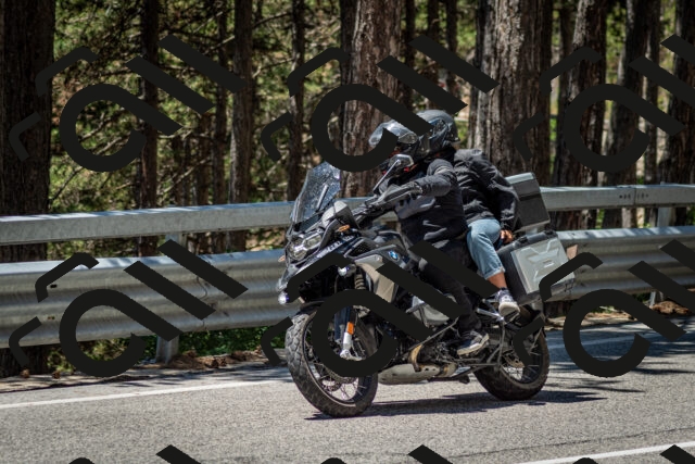 202506291238-DSC_3386_c2