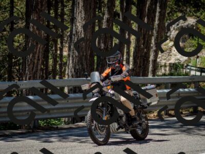 202506291238-DSC_3387_c2