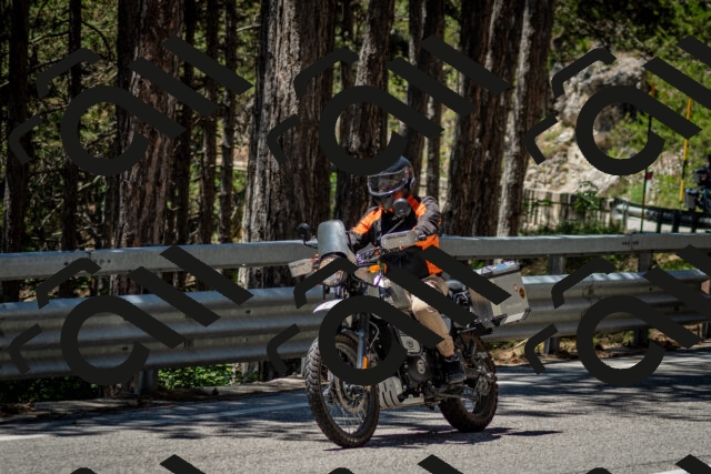 202506291238-DSC_3387_c2