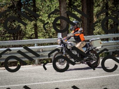 202506291238-DSC_3388_c2