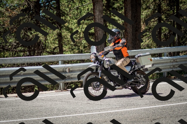 202506291238-DSC_3388_c2