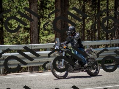 202506291238-DSC_3389_c2