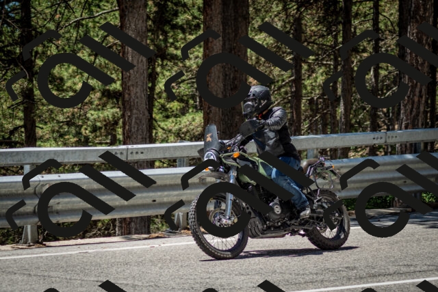 202506291238-DSC_3389_c2