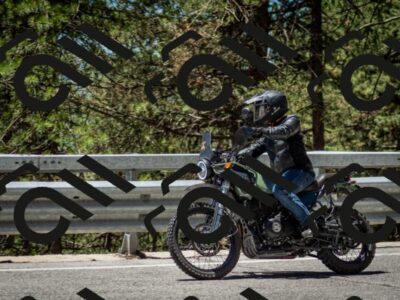 202506291238-DSC_3390_c2