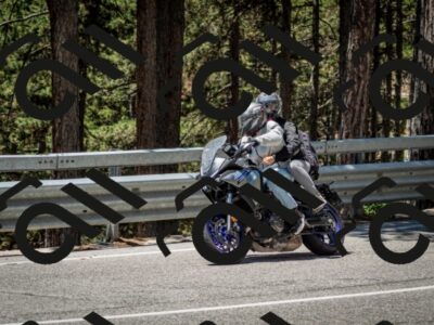 202506291238-DSC_3391_c2