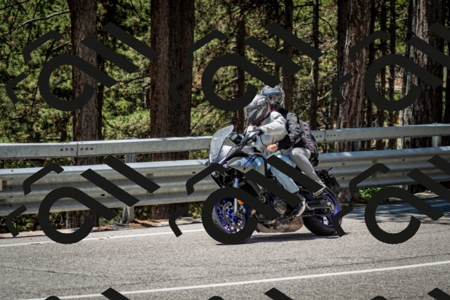 202506291238-DSC_3391_c2